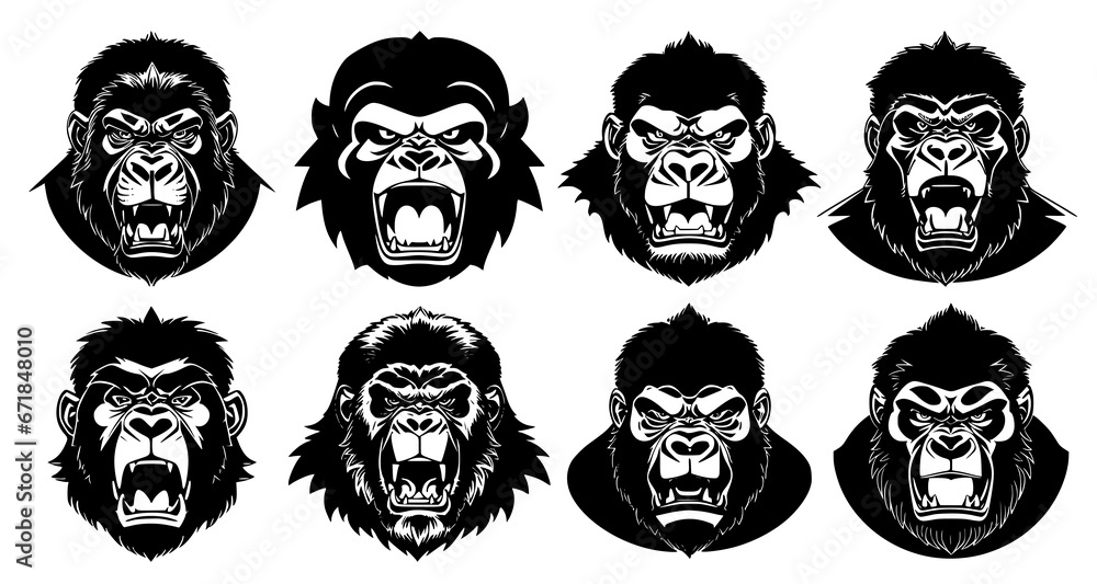 Set of gorilla heads with open mouth and bared fangs, with different angry expressions of the muzzle. Symbols for tattoo, emblem or logo, isolated on a white background.