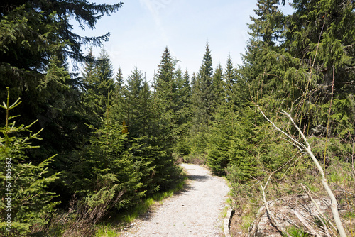 Spring view of Konyarnika area at Vitosha Mountain, Bulgaria photo