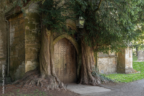 Wooden doorway to middle earth