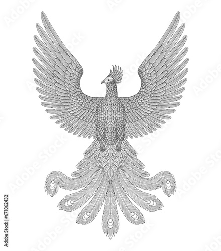 Phoenix bird, vintage engraving drawing stye illustration