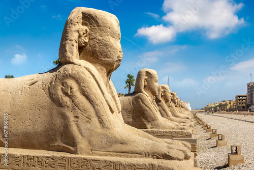 Sphinx Allee in Luxor, Egypt photo