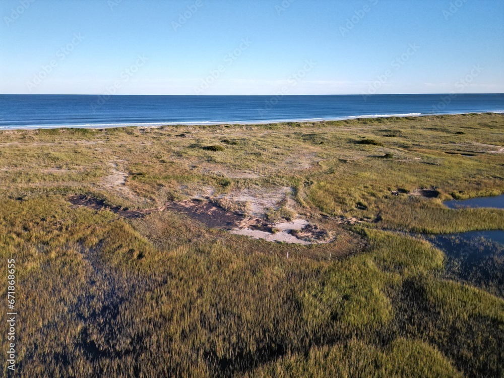 Coastal Grassland Landscape with Sand Oasis and Ocean Horizon