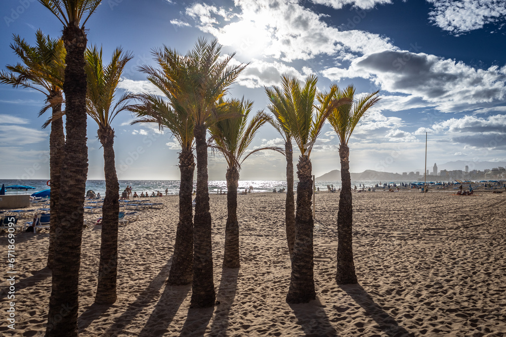 Widok na plażę, palmy i morze śródziemne na brzegu Hiszpańskiego miasta Benidorm na Costa Blanca - obrazy, fototapety, plakaty 