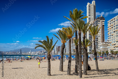 Fototapeta Naklejka Na Ścianę i Meble -  Widok na palmy, plażę, hotele i morze śródziemne na brzegu Hiszpańskiego miasta Benidorm na Costa Blanca