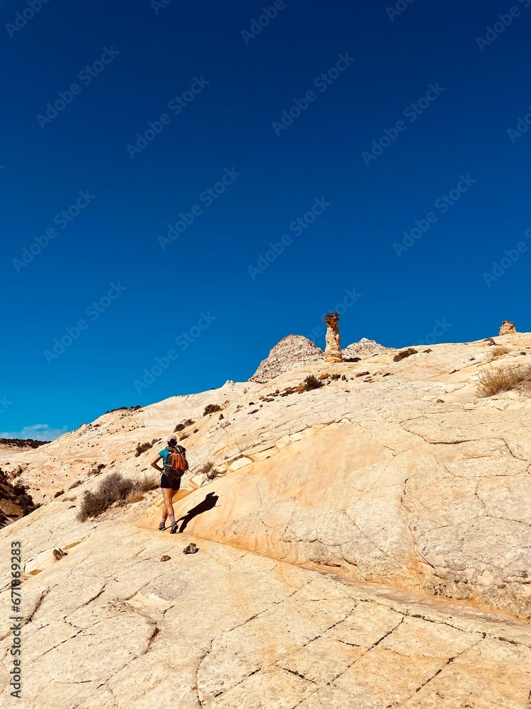 Lone hiker in desert landscape