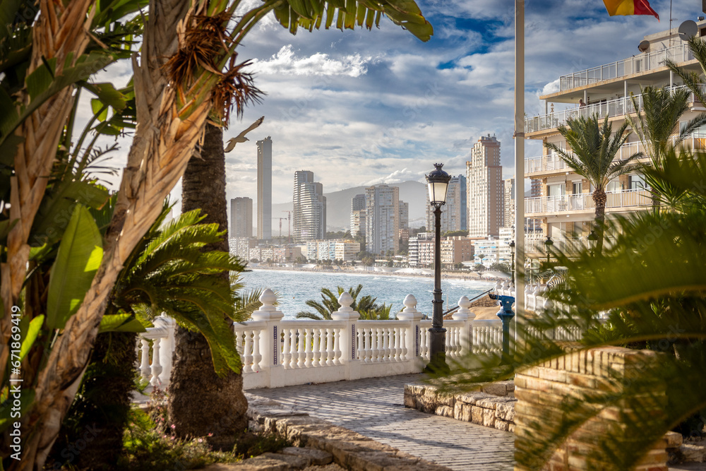 Widok na plażę, hotele i morze śródziemne między palmami Hiszpańskiego miasta Benidorm na Costa Blanca - obrazy, fototapety, plakaty 