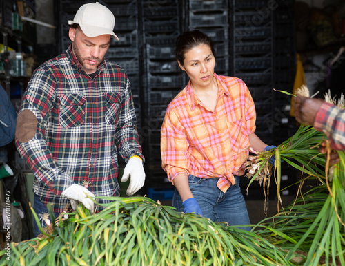 Man and woman sorting and peeling garlic in the backyard of a farm photo