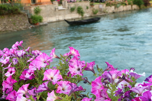 Blumen mit Boot im Hintergrund