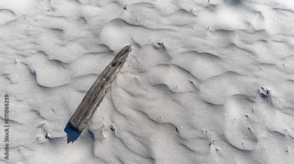 Kawałek drewna wyrzucony przez morze na plażę, - obrazy, fototapety, plakaty 