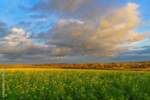 Piękny krajobraz w Belgii, pola i chmury na niebie, Kortenaken. Uprawy rolne.