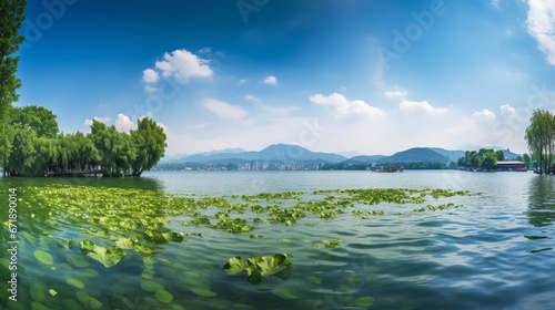 Beautiful hangzhou west beautiful scenery the lake photography image AI generated art