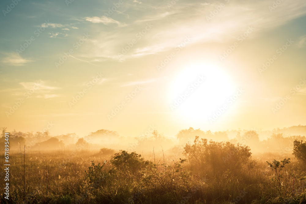 Fototapeta premium Bright Sun Rises Over Foggy Field