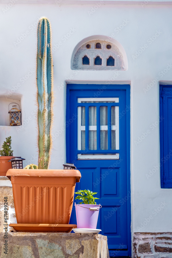 Fototapeta premium A potted cactus positioned against the backdrop of a vibrant blue door