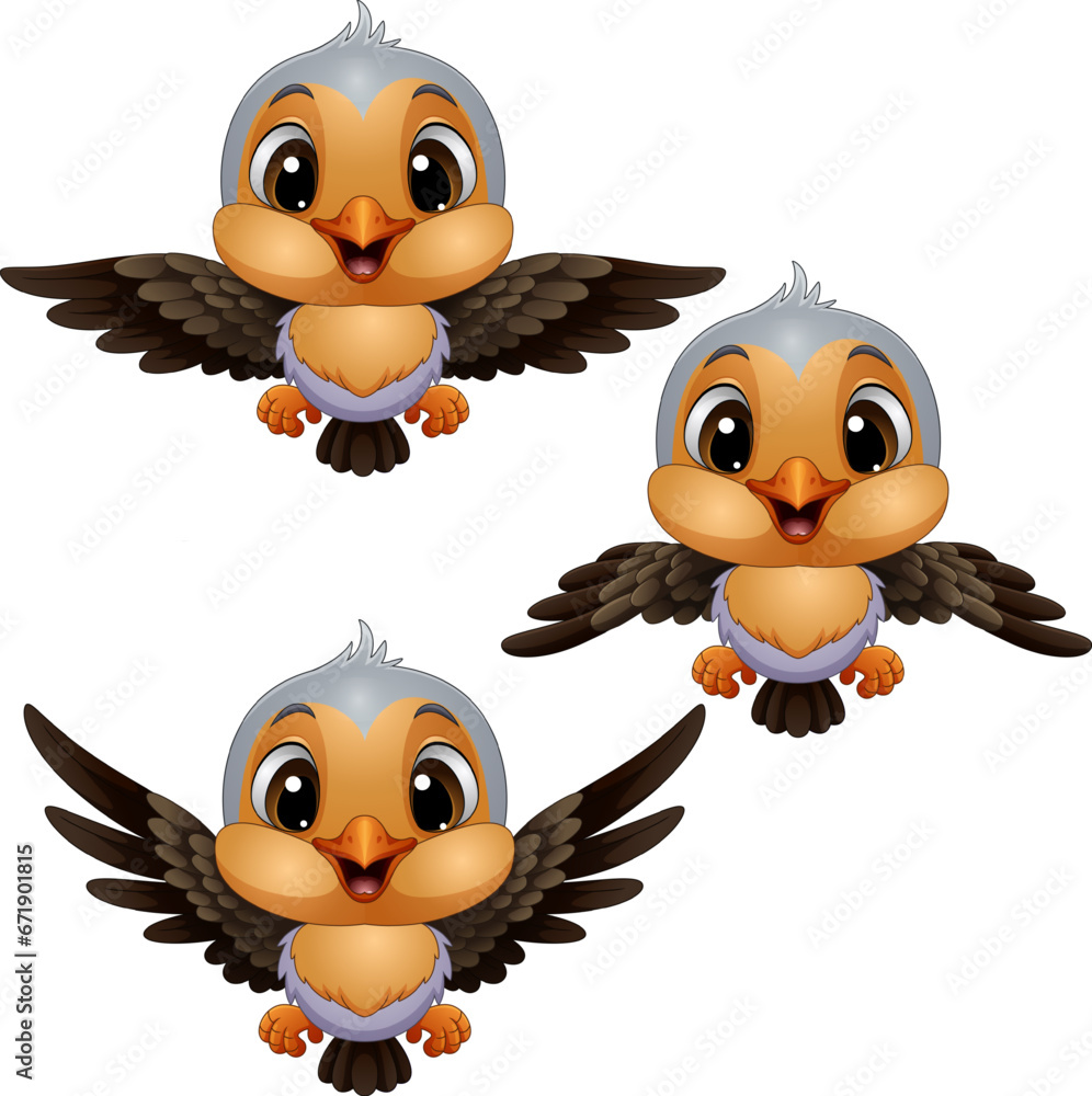 Fototapeta premium Set of cartoon robin bird on white background