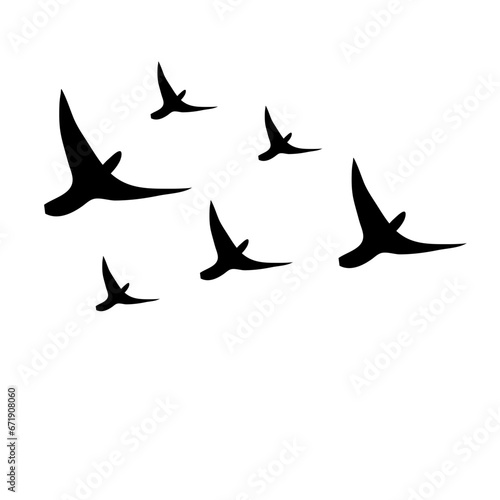 Flock of Bird Flying Vector Illustration  © Ibnu