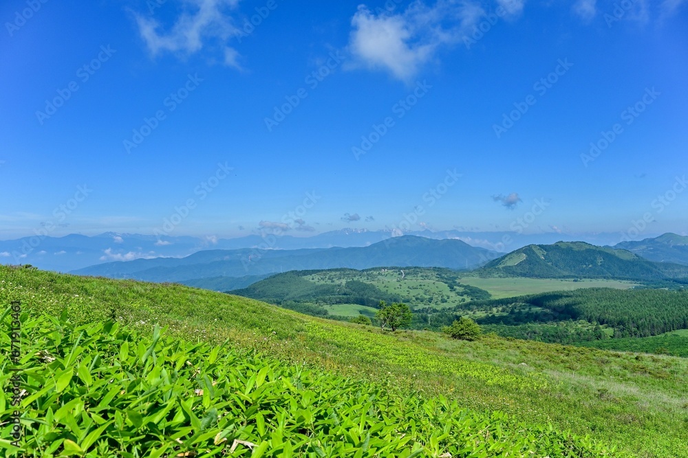 青空バックに見る夏の車山高原の情景