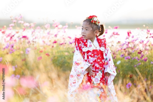A toddler girl wearing a Japanese kimono in the middle of cosmos flower field. 