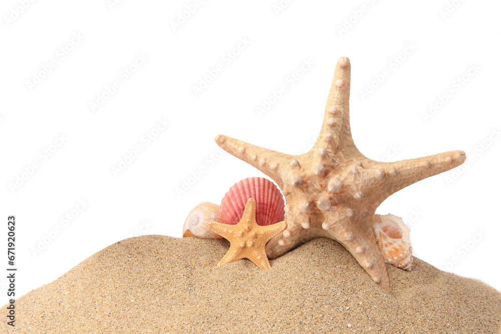 Beautiful sea stars and seashells in sand isolated on white Beautiful sea stars and seashells in sand isolated on white