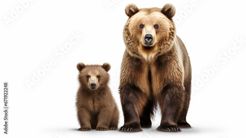Cute cub and grizzly bear © Birgit Reitz-Hofmann