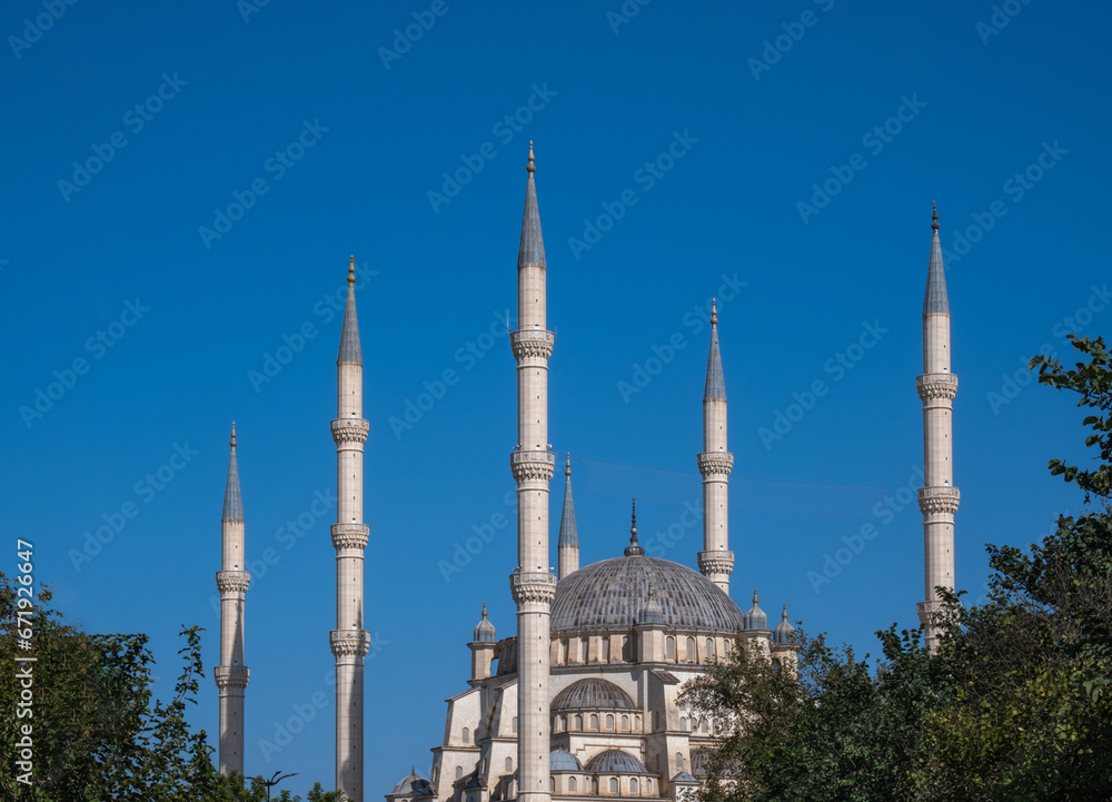 Fototapeta premium Adana Central Mosque, one of the biggest mosques in Turkey. Sabanci Merkez Camii. view through trees.