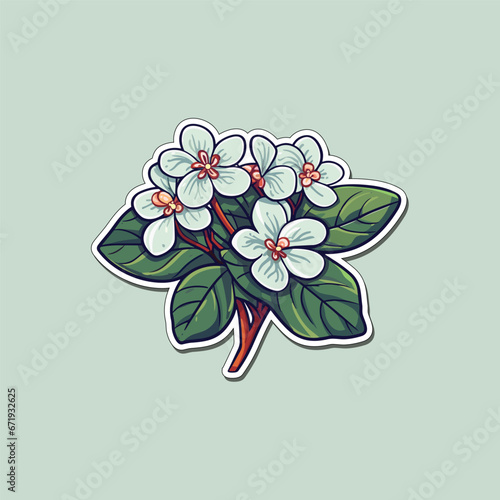 hoya sticker cool colors clip art illustration