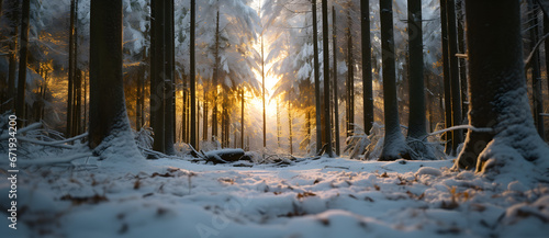 Forest in the early morning covered with heavy winter snow 1 © 文广 张