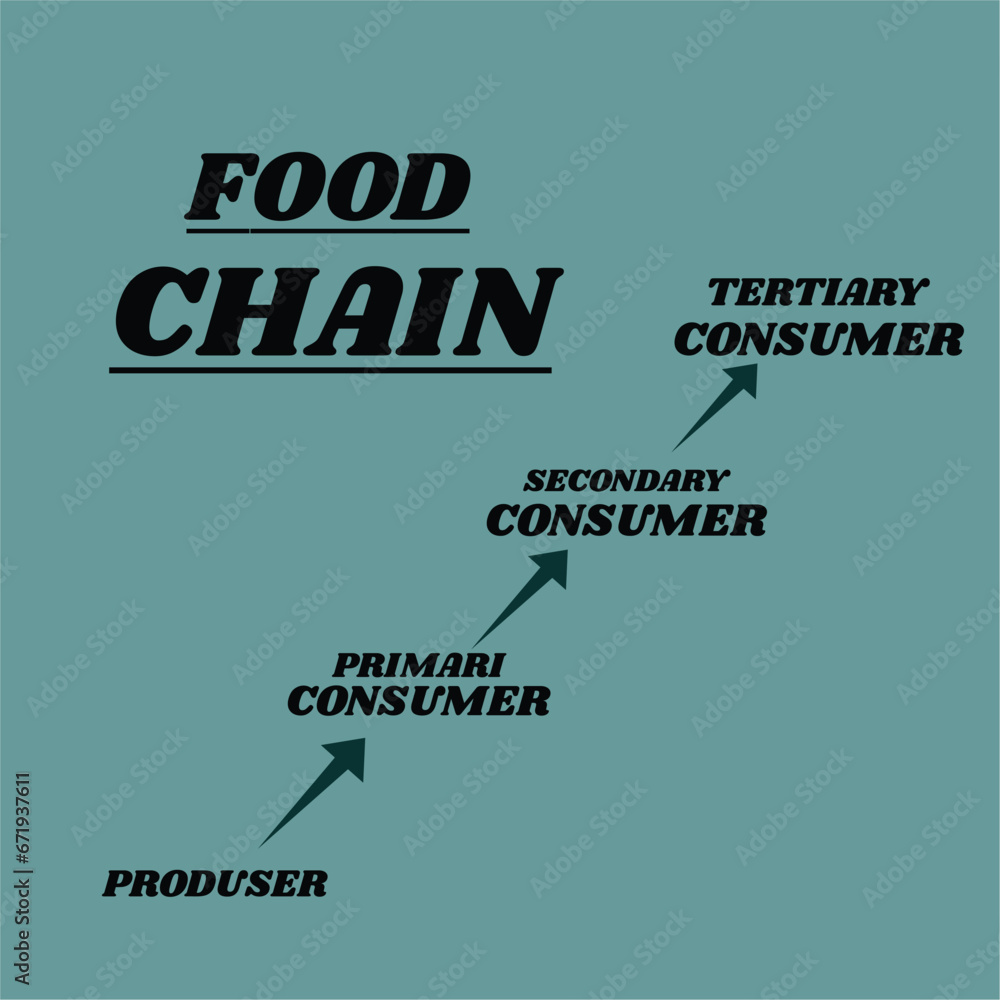 FOOD CHAIN VECTOR DESIGN FOR LEARNING MEDIA FOR NATURAL SCIENCE ...