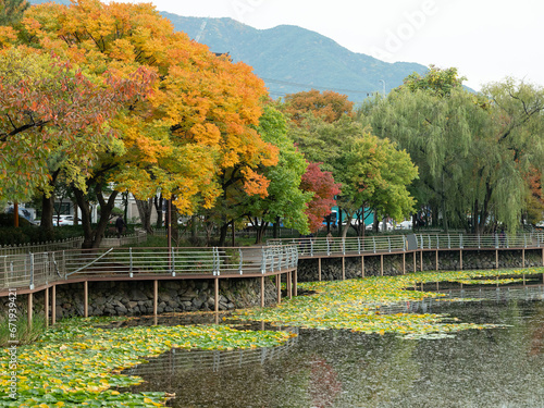 autumn landscape with lake photo