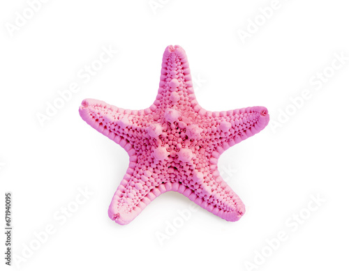 One pink sea star isolated on white