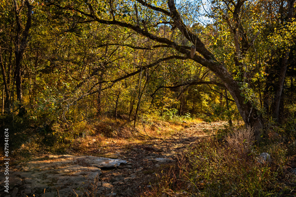 Dry Creek Bed in Autumn