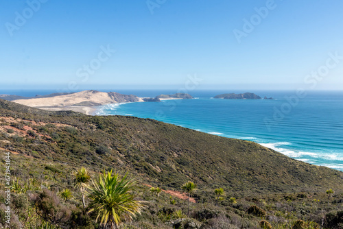 Stunning Cape Reinga Coastal Landscape: Northernmost Point of New Zealand photo