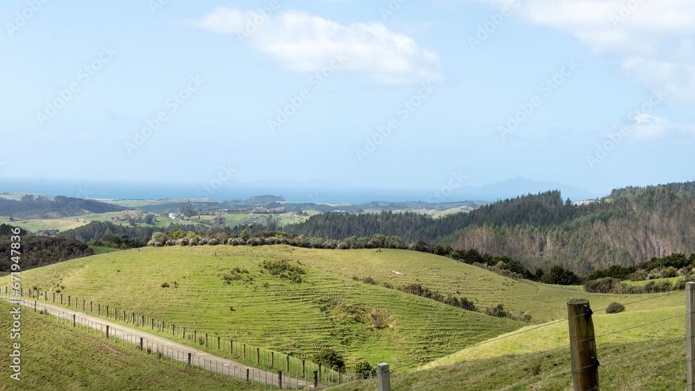 Green Pastures, Rolling Hills, and Scenic Farmland Views of Otaika Valley, Northland, New Zealand