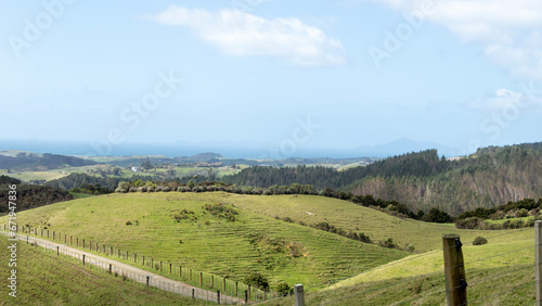 Green Pastures  Rolling Hills  and Scenic Farmland Views of Otaika Valley  Northland  New Zealand
