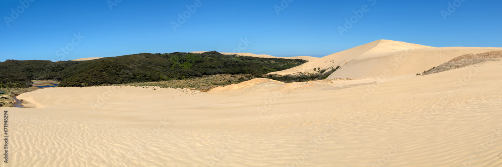 Cape Reinga Iconic Te Paki Giant Sand Dunes: A Natural Wonder and Tourist Attraction in Northland, New Zealand