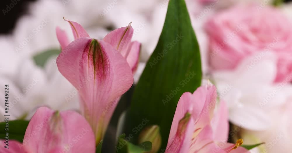 used to create a bouquet of old flowers with defects, a large number of old flowers of different types in the bouquet used to create a bouquet of old flowers with defects, a large number of old flowers of different types in the bouquet