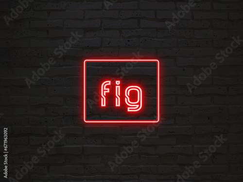 fig のネオン文字