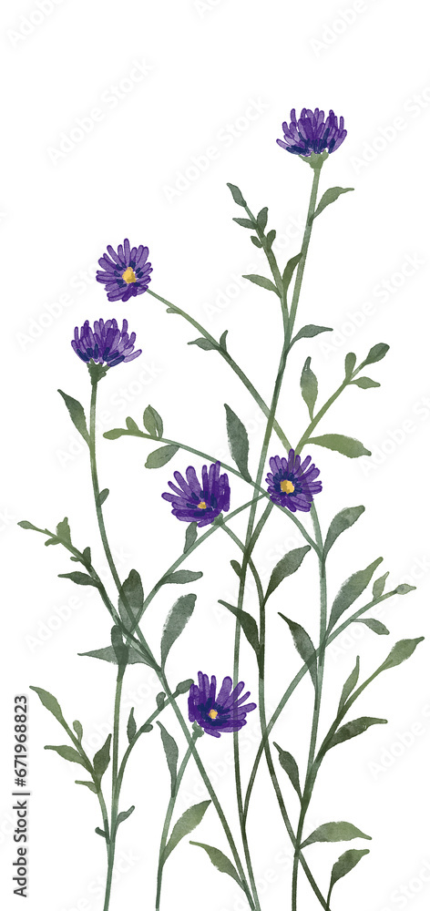 Naklejka premium flowers painted in watercolor for wallpaper background
