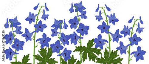 Delphinium, blue larkspur plants, vector drawing flowers at white background, hand drawn botanical illustration