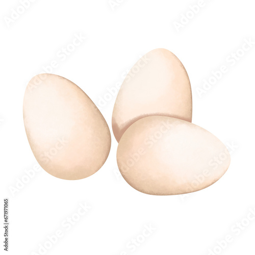 Watercolor Three Eggs