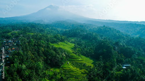 Aerial View Of Mountain Rice Field And Forest © D'Beranda Studio