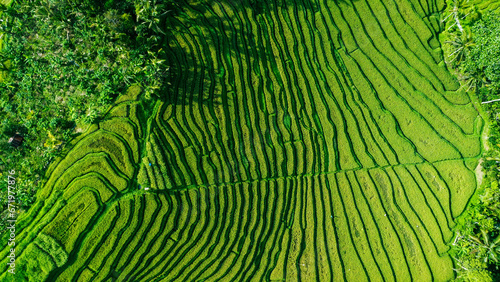 Top View Of Terraced Field