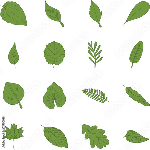set of green leaves icon © mualtry003