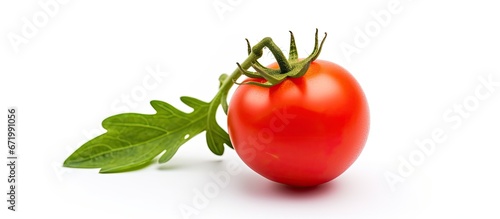 A solitary cherry sized tomato with a small presence standing alone against a blank white backdrop