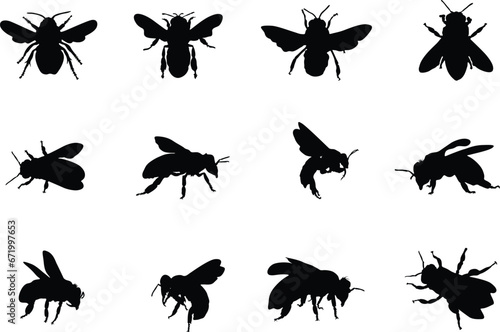 Honey bee silhouette, Honeybee silhouettes, Bee silhouettes, Flying bee silhouette, Honey bee icon, Bee vector illustration © DesignLands 