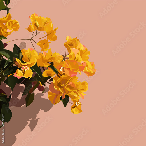Yellow bougainvillea flowers against rustic peach color wall under morning light. © NoorRadya