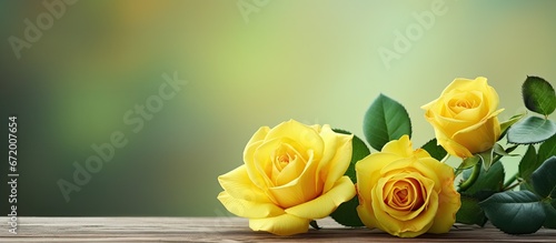 Fototapeta Naklejka Na Ścianę i Meble -  Roses in a sunny hue set against a backdrop of lush verdant foliage
