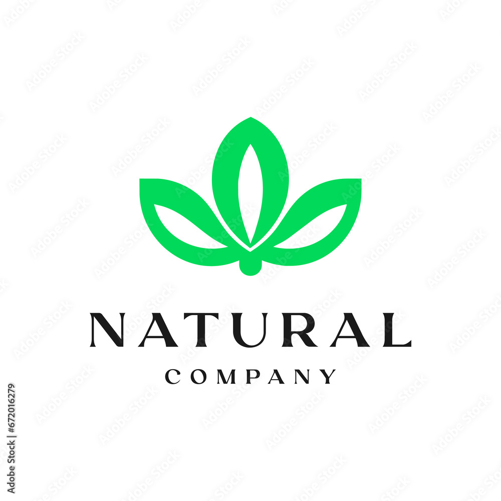eco friendly logo design, natural green leaf logo concept