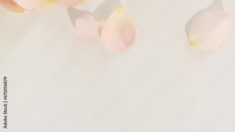 Flowers Rose petals blown by wind on pastel, beige background. Sun and shadows. Reflections sunlight and shadows in slow motion. Valentines day texture. High quality FullHD footage Flowers Rose petals blown by wind on pastel, beige background. Sun and shadows. Reflections sunlight and shadows in slow motion. Valentines day texture. High quality FullHD footage