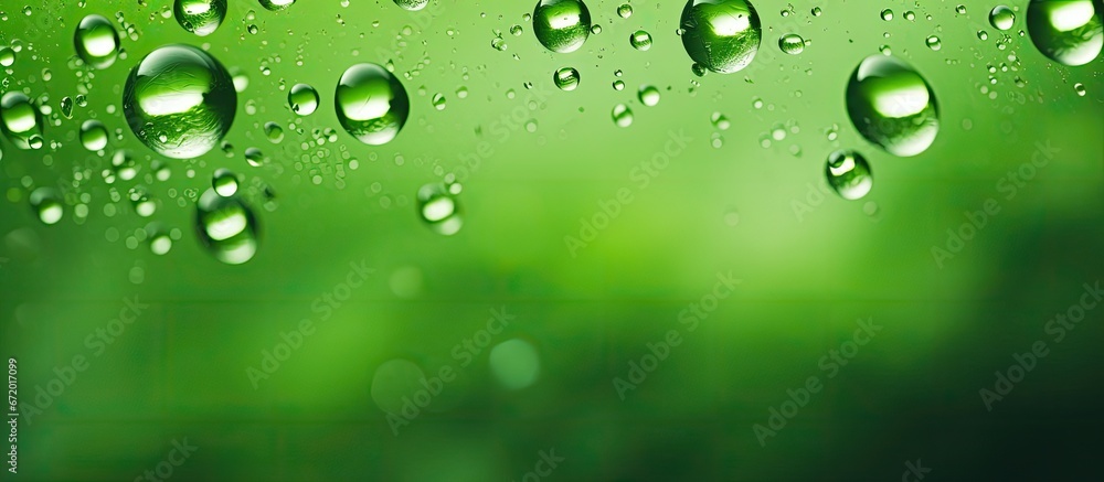 Drops of water on a backdrop of lush green