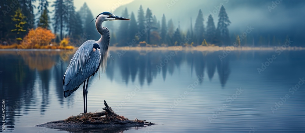 A fantastic heron of a vibrant blue resides within a body of water